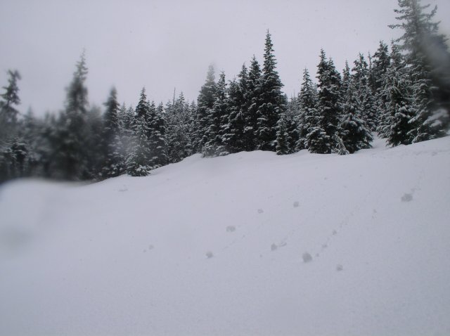 Ghost Ridge-Twin Lakes 042 